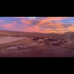 Meet your Posher, Bailey